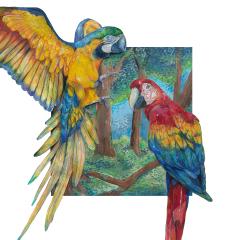 Parrot Party