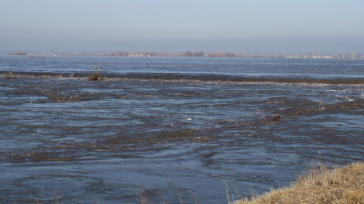 Flooded Field